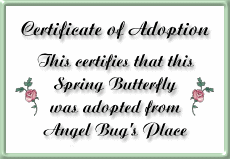 Adopt your butterfly at Angel Bug's Place